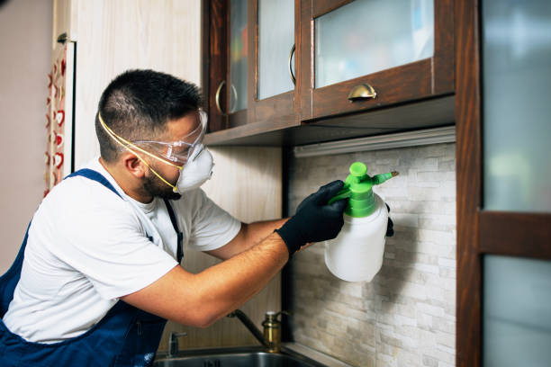 Best Cockroach Control Services  in West Palm Beach, FL